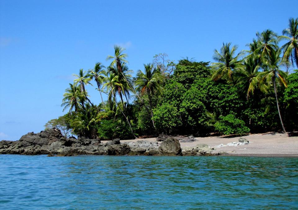 A small palm-covered point on the Corcovado coast