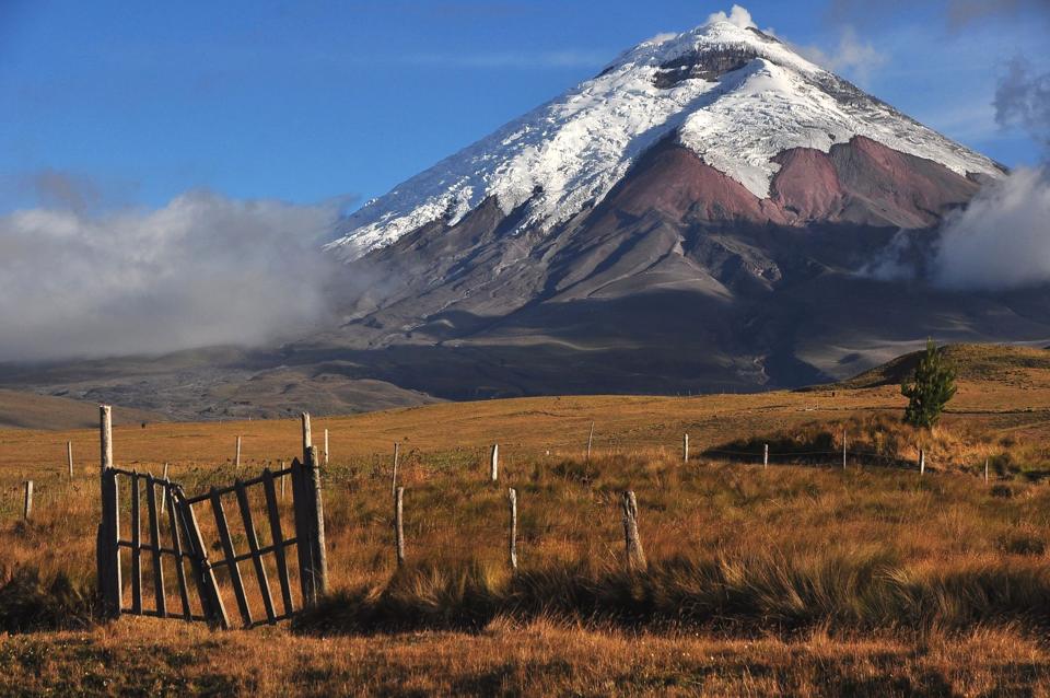 Snow-capped Cotopaxi volcano above grassland