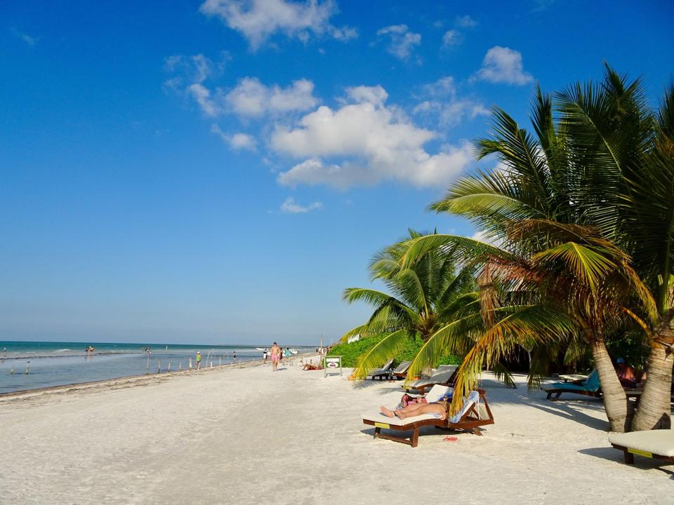 A palm-lined white-sand beach on Holbox