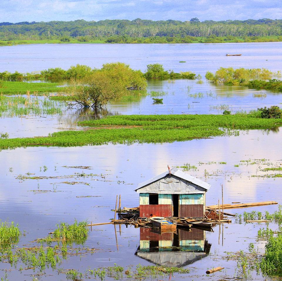 Flooded Amazon riverbank with a stilt house near Iquitos