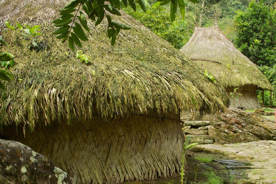 Thatched huts along the Ciudad Perdida trek
