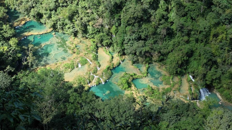 Turquoise stepped pools of Semuc Champey among jungle